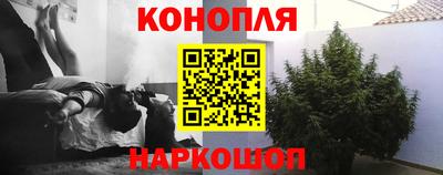 прущая мука Брянск